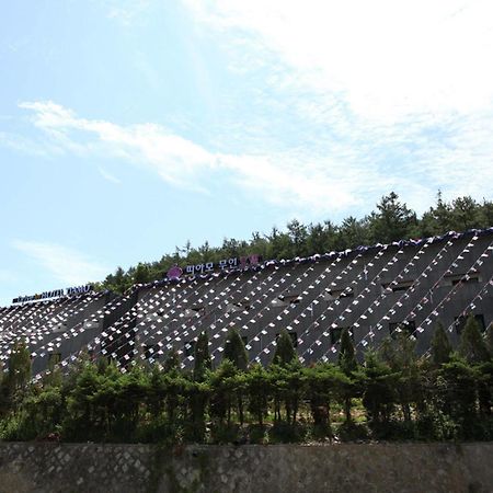 Drive In Hotel Tiamo Pocheon Eksteriør billede